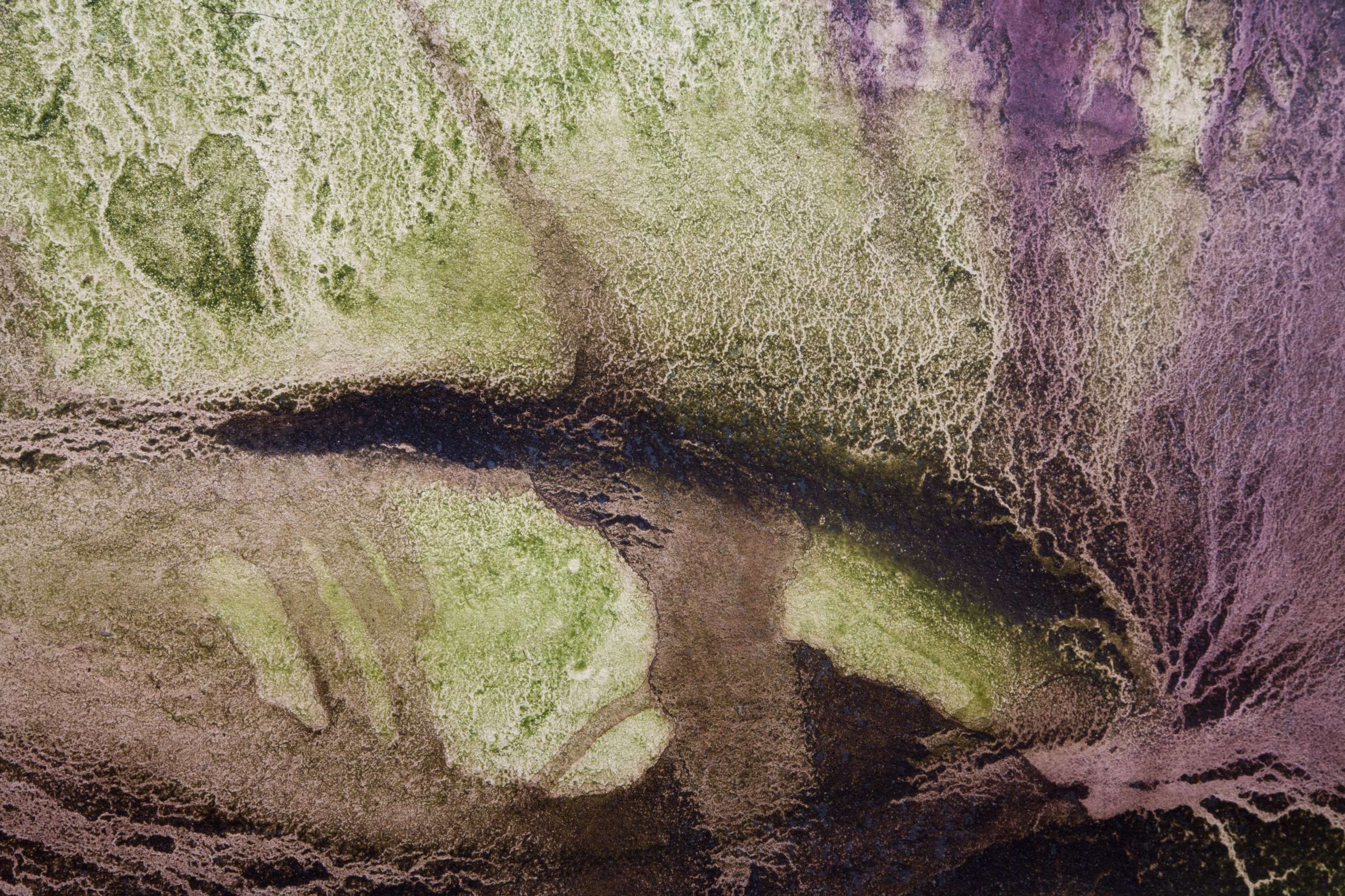 Amazonas Eafit_11.jpg